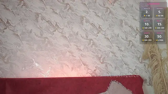 Snapshot of roselinedior chatting on November 2025 02:17:01 PM roselinedior online show from November 2025 02:17:01 PM