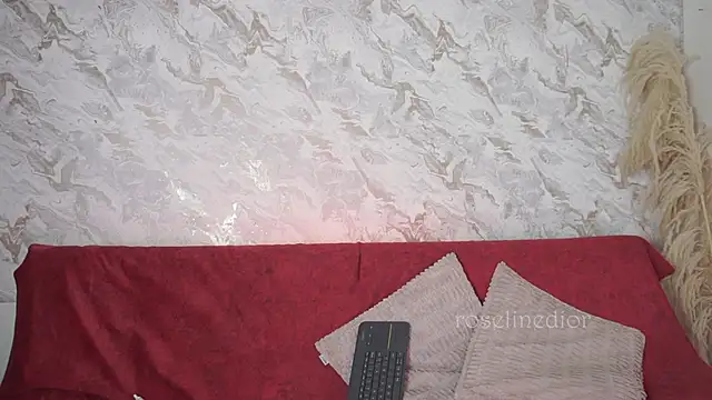 Snapshot of roselinedior chatting on November 2025 02:28:01 PM roselinedior online show from November 2025 02:28:01 PM