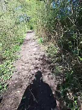 FreezingTie850 online show from April 2026 09:45:01 AM