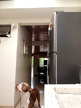 sebasxx97 online show from March 2025 07:40:01 PM