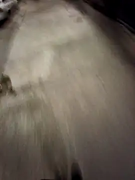 Snapshot of BandidodeAmores_84 chatting on October 2025 03:07:01 AM BandidodeAmores 84 online show from October 2025 03:07:01 AM