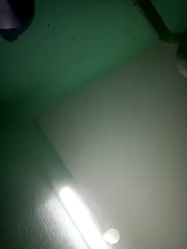 Snapshot of ssamit0808 chatting on February 2025 07:05:02 PM ssamit0808 online show from February 2025 07:05:02 PM