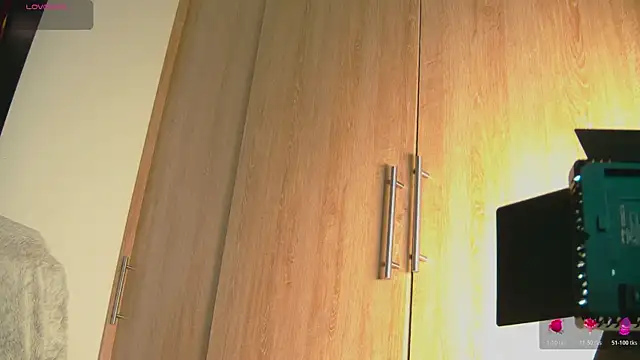 Snapshot of aidaadams chatting on October 2025 10:54:02 AM aidaadams online show from October 2025 10:54:02 AM