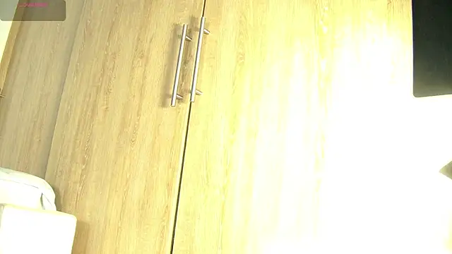 Snapshot of aidaadams chatting on November 2025 11:54:01 AM aidaadams online show from November 2025 11:54:01 AM