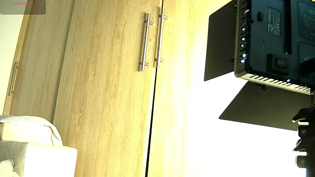 Snapshot of aidaadams chatting on November 2025 11:43:01 AM aidaadams online show from November 2025 11:43:01 AM