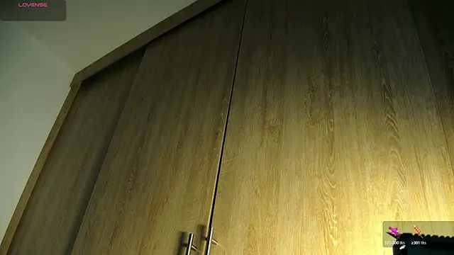 Snapshot of aidaadams chatting on November 2025 09:48:02 AM aidaadams online show from November 2025 09:48:02 AM