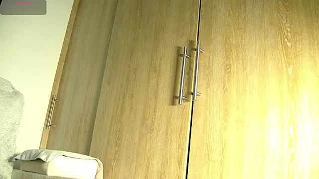 Snapshot of aidaadams chatting on November 2025 11:31:01 AM aidaadams online show from November 2025 11:31:01 AM