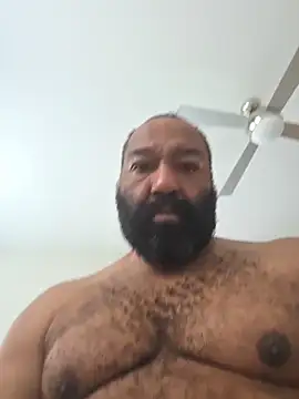 Snapshot of Bearhoney843 chatting on October 2025 04:41:02 PM Bearhoney843 online show from October 2025 04:41:02 PM