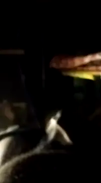 findmemylove online show from January 2025 07:06:02 PM