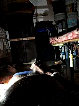 findmemylove online show from February 2025 08:40:01 PM