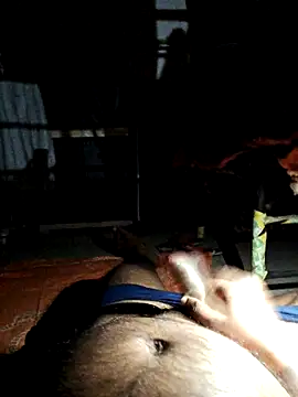 findmemylove online show from March 2025 08:42:02 PM