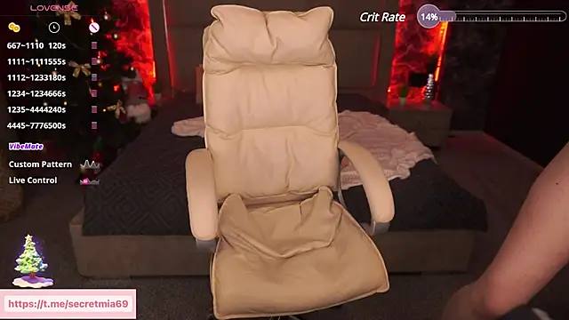 SecretDesireMe online show from December 2024 05:19:02 PM