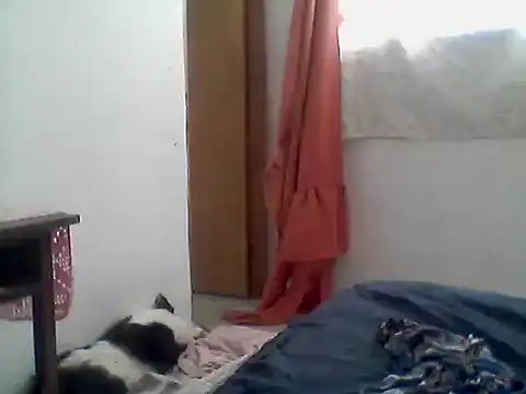 mariy  online show from December 2025 03:50:02 PM