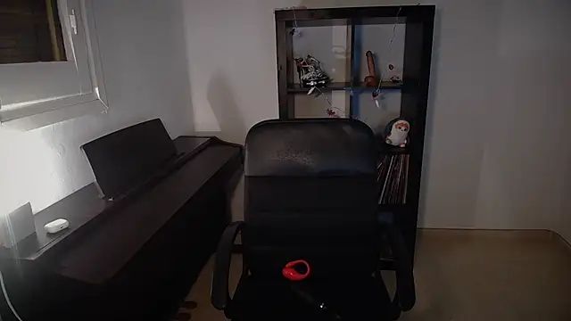 Windy butterfly online show from November 2025 05:35:02 PM