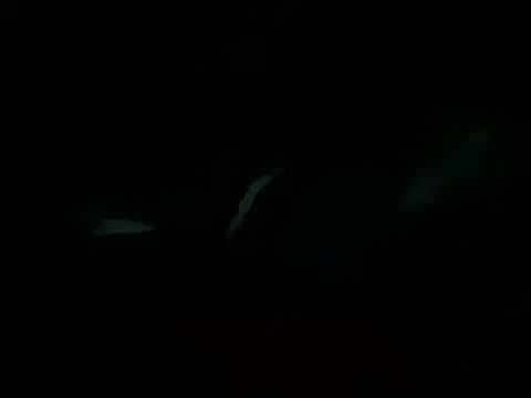 Snapshot of Billythekidd1978 chatting on March 2025 05:20:01 PM Billythekidd1978 online show from March 2025 05:20:01 PM