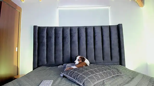 paulina soto online show from November 2025 06:46:02 PM