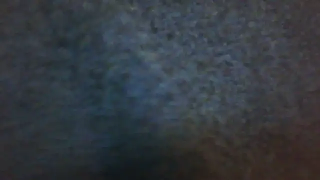 wedge75 online show from December 2024 03:03:02 PM