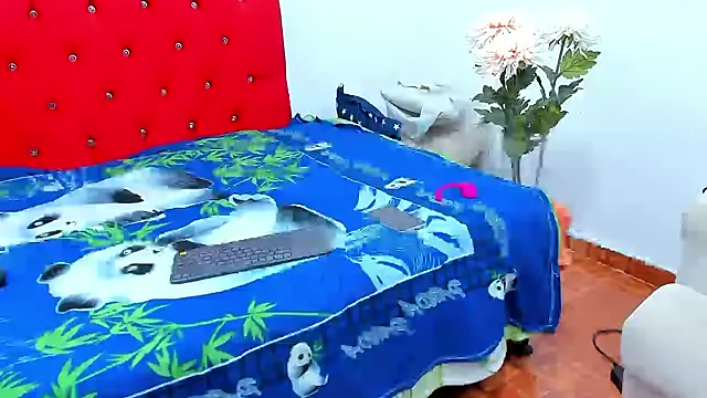 big-dicktop23 online show from December 2024 05:04:01 PM