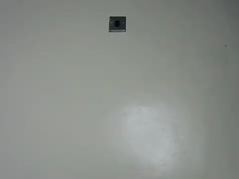 Rasta tattooed online show from December 2025 02:18:01 AM