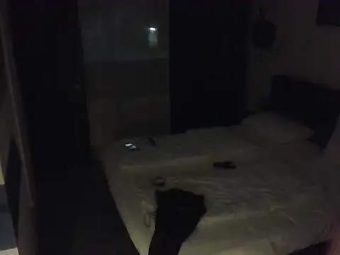 Snapshot of BigHenrySNC chatting on March 2026 10:15:01 PM BigHenrySNC online show from March 2026 10:15:01 PM