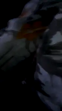 Bite spectaculaire online show from February 2025 01:19:02 AM