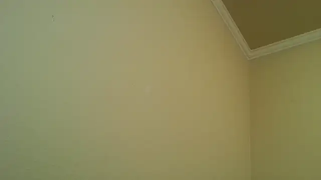 YelpedAverting online show from December 2025 12:49:02 AM