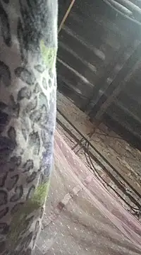 Snapshot of HotSexyBoudi chatting on December 2024 09:01:01 AM HotSexyBoudi online show from December 2024 09:01:01 AM