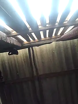 Snapshot of HotSexyBoudi chatting on February 2025 09:28:01 AM HotSexyBoudi online show from February 2025 09:28:01 AM