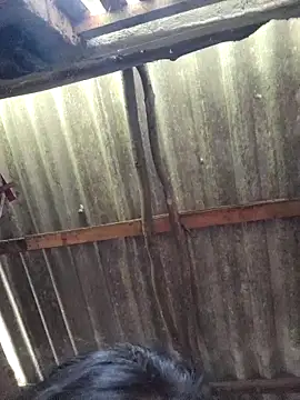 Snapshot of HotSexyBoudi chatting on September 2025 09:31:01 AM HotSexyBoudi online show from September 2025 09:31:01 AM