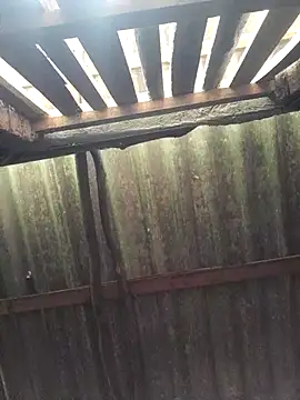 Snapshot of HotSexyBoudi chatting on September 2025 09:20:02 AM HotSexyBoudi online show from September 2025 09:20:02 AM