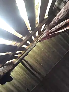 Snapshot of HotSexyBoudi chatting on September 2025 09:14:01 AM HotSexyBoudi online show from September 2025 09:14:01 AM