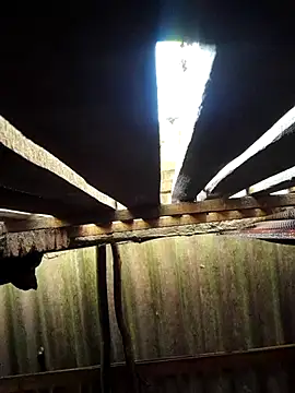 Snapshot of HotSexyBoudi chatting on September 2025 08:41:01 AM HotSexyBoudi online show from September 2025 08:41:01 AM