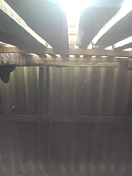 Snapshot of HotSexyBoudi chatting on October 2025 08:45:01 AM HotSexyBoudi online show from October 2025 08:45:01 AM