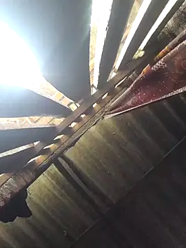 Snapshot of HotSexyBoudi chatting on October 2025 08:55:01 AM HotSexyBoudi online show from October 2025 08:55:01 AM