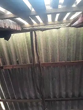 Snapshot of HotSexyBoudi chatting on October 2025 10:07:01 AM HotSexyBoudi online show from October 2025 10:07:01 AM