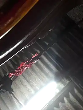 Snapshot of HotSexyBoudi chatting on November 2025 08:46:01 AM HotSexyBoudi online show from November 2025 08:46:01 AM