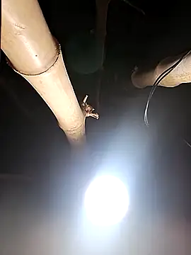 HotSexyBoudi online show from February 2026 08:24:07 AM