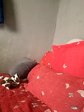 Petrossa online show from January 2026 11:48:02 AM