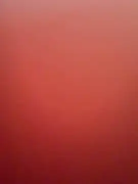 trash4cash online show from February 2025 03:59:02 AM