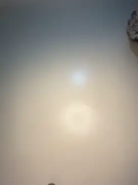 Reecekay online show from December 2025 06:37:02 PM