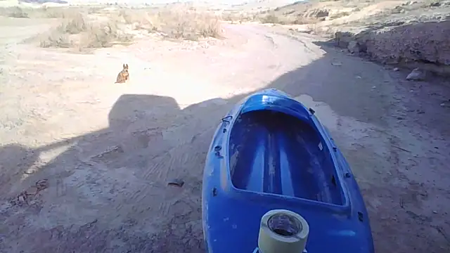 FloppyPickle4u online show from December 2025 10:39:02 PM