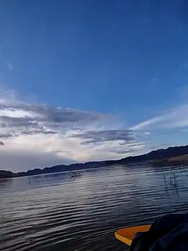 FloppyPickle4u online show from February 2026 03:52:02 PM