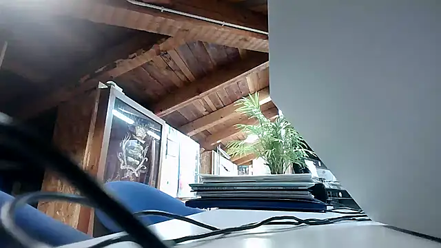 Snapshot of TWENTYONE0021 chatting on July 2026 08:04:02 PM TWENTYONE0021 online show from July 2026 08:04:02 PM