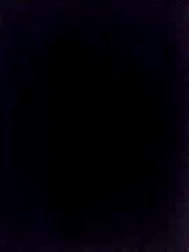 BongChannel online show from January 2025 11:40:01 PM