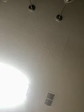 Snapshot of AndrewBigPolla chatting on June 2026 04:04:02 AM AndrewBigPolla online show from June 2026 04:04:02 AM