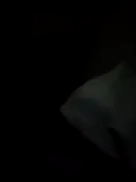 Snapshot of tessafontana37 chatting on January 2025 02:32:02 AM tessafontana37 online show from January 2025 02:32:02 AM