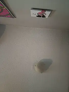 Your Paris online show from February 2025 03:23:02 PM