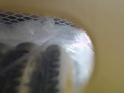 lovense test04 online show from October 2025 03:51:02 AM