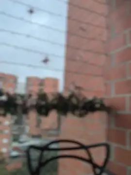 ValerieHilton online show from December 2024 10:59:02 PM