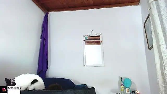 Trix fiore oficial online show from January 2026 03:01:02 AM